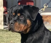 processed/8fa1483c-bd97-4741-a6da-55a94b14c08a/facility/45c8ccf1-c8c5-4613-a039-9c0719d066de