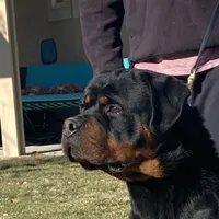 processed/8fa1483c-bd97-4741-a6da-55a94b14c08a/facility/4d6e1dce-2c54-4cec-8114-82fd3f4648cc