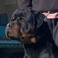 processed/8fa1483c-bd97-4741-a6da-55a94b14c08a/facility/5baa3b74-f182-4e20-b496-50b518ef75ee