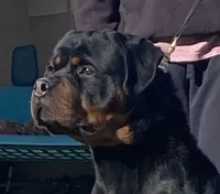 processed/8fa1483c-bd97-4741-a6da-55a94b14c08a/facility/5baa3b74-f182-4e20-b496-50b518ef75ee