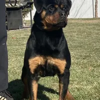 processed/8fa1483c-bd97-4741-a6da-55a94b14c08a/facility/6b7d7a9d-183e-4ca9-bfbf-aa4f83b5955a