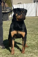 processed/8fa1483c-bd97-4741-a6da-55a94b14c08a/facility/6b7d7a9d-183e-4ca9-bfbf-aa4f83b5955a