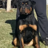 processed/8fa1483c-bd97-4741-a6da-55a94b14c08a/facility/790565d2-22a6-41a3-850b-20e7aca8ee1f