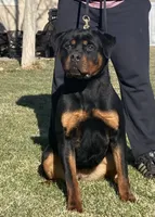 processed/8fa1483c-bd97-4741-a6da-55a94b14c08a/facility/790565d2-22a6-41a3-850b-20e7aca8ee1f