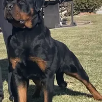 processed/8fa1483c-bd97-4741-a6da-55a94b14c08a/facility/abcf54fa-3fd0-4b1c-8955-d243e98c22d1