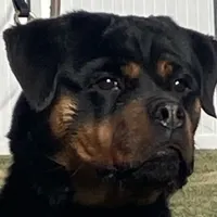 processed/8fa1483c-bd97-4741-a6da-55a94b14c08a/facility/ada6441d-8e53-4e49-be49-7c4962a615b4