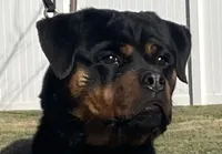 processed/8fa1483c-bd97-4741-a6da-55a94b14c08a/facility/ada6441d-8e53-4e49-be49-7c4962a615b4