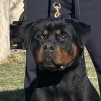 processed/8fa1483c-bd97-4741-a6da-55a94b14c08a/facility/bd8fff58-a14e-485d-ac70-21c730adbce8