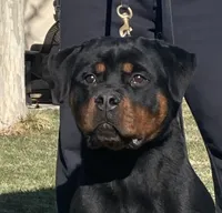 processed/8fa1483c-bd97-4741-a6da-55a94b14c08a/facility/bd8fff58-a14e-485d-ac70-21c730adbce8