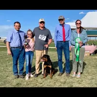 Rottweiler Puppy Male, a male Rottweiler for sale in Hooper, UT – Photo 5 of 6