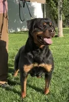 processed/8fa1483c-bd97-4741-a6da-55a94b14c08a/listing/62aaf752-7229-44cf-a2d9-b97435106e71/4e9fb091-ab0f-4549-ad4a-a5e1f2714c57