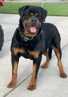 processed/8fa1483c-bd97-4741-a6da-55a94b14c08a/listing/62aaf752-7229-44cf-a2d9-b97435106e71/63a3c511-1e84-4ee0-b068-713bf79e7c10