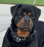 processed/8fa1483c-bd97-4741-a6da-55a94b14c08a/listing/62aaf752-7229-44cf-a2d9-b97435106e71/d7fe0979-c350-42cb-a4ce-39f7e65c730f