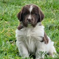 processed/8faf8818-f0b3-4336-8f49-232bf1552b8d/facility/08818245-3605-4655-b66f-017e8a326934