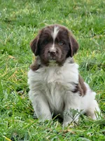 processed/8faf8818-f0b3-4336-8f49-232bf1552b8d/facility/08818245-3605-4655-b66f-017e8a326934