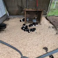 processed/8faf8818-f0b3-4336-8f49-232bf1552b8d/facility/16b593fe-f469-4da7-a31e-a6994a2d1c10