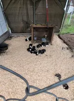 processed/8faf8818-f0b3-4336-8f49-232bf1552b8d/facility/16b593fe-f469-4da7-a31e-a6994a2d1c10