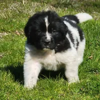 processed/8faf8818-f0b3-4336-8f49-232bf1552b8d/facility/24c66fb8-cc91-453d-9d9e-c7309914d7eb