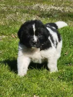 processed/8faf8818-f0b3-4336-8f49-232bf1552b8d/facility/24c66fb8-cc91-453d-9d9e-c7309914d7eb