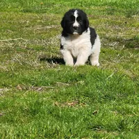 processed/8faf8818-f0b3-4336-8f49-232bf1552b8d/facility/9784d1dd-0588-48f0-b251-e0888753406a