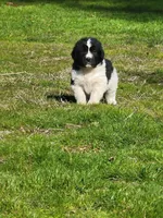 processed/8faf8818-f0b3-4336-8f49-232bf1552b8d/facility/9784d1dd-0588-48f0-b251-e0888753406a