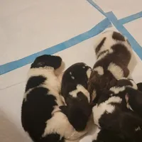 processed/8faf8818-f0b3-4336-8f49-232bf1552b8d/facility/998df4db-bddf-4fb8-bcfb-6f0ba18c5f79