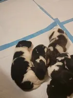 processed/8faf8818-f0b3-4336-8f49-232bf1552b8d/facility/998df4db-bddf-4fb8-bcfb-6f0ba18c5f79