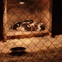 processed/8faf8818-f0b3-4336-8f49-232bf1552b8d/facility/ee53d8f7-9216-47db-a0c8-e5a59175f564