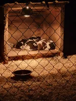 processed/8faf8818-f0b3-4336-8f49-232bf1552b8d/facility/ee53d8f7-9216-47db-a0c8-e5a59175f564