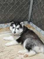 processed/8fb7c84a-69e6-40ad-942c-4ff23fa14f11/listing/0729d70d-a189-4d31-a0fa-c60c0711d173/12b762fb-28c2-4e7b-a7fd-c641a222e787