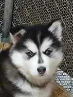 processed/8fb7c84a-69e6-40ad-942c-4ff23fa14f11/listing/0729d70d-a189-4d31-a0fa-c60c0711d173/c9914350-9426-4df4-bd94-bed9af428d56