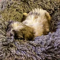 processed/8fb89b4f-cd0b-4294-94b1-289f53f11292/facility/542deb94-1e4c-4cde-a68a-7fe49e7999b3