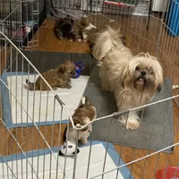 processed/8fb89b4f-cd0b-4294-94b1-289f53f11292/facility/8a865c6d-c654-4f25-8342-b4befc5d479a