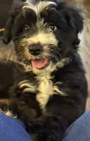 processed/8fb89b4f-cd0b-4294-94b1-289f53f11292/listing/6011f902-2a12-47fb-826e-253e3922dbc0/088d0192-3e9b-4ca7-8a2b-90894d871d7c