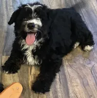 processed/8fb89b4f-cd0b-4294-94b1-289f53f11292/listing/6011f902-2a12-47fb-826e-253e3922dbc0/4e25da35-1c79-4f47-b159-9f9442f4a16e