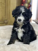 processed/8fb89b4f-cd0b-4294-94b1-289f53f11292/listing/6011f902-2a12-47fb-826e-253e3922dbc0/64eebe56-8047-4b3b-832e-2b5ed2f26d0e