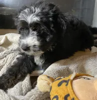 processed/8fb89b4f-cd0b-4294-94b1-289f53f11292/listing/6011f902-2a12-47fb-826e-253e3922dbc0/7355f865-52a5-4dbc-b8ca-fbbe26d73703