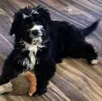 processed/8fb89b4f-cd0b-4294-94b1-289f53f11292/listing/6011f902-2a12-47fb-826e-253e3922dbc0/e864b976-e79c-4c6c-afed-9e34f35852b7