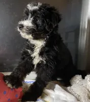 processed/8fb89b4f-cd0b-4294-94b1-289f53f11292/listing/6011f902-2a12-47fb-826e-253e3922dbc0/e9339130-ed62-40a9-91f5-08e6bfa69e64