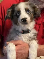 processed/8fb89b4f-cd0b-4294-94b1-289f53f11292/listing/85de5c9a-0c17-448d-a9aa-8d7664239b29/b17c0b9a-a04e-4134-af44-fbdde0bd01c3