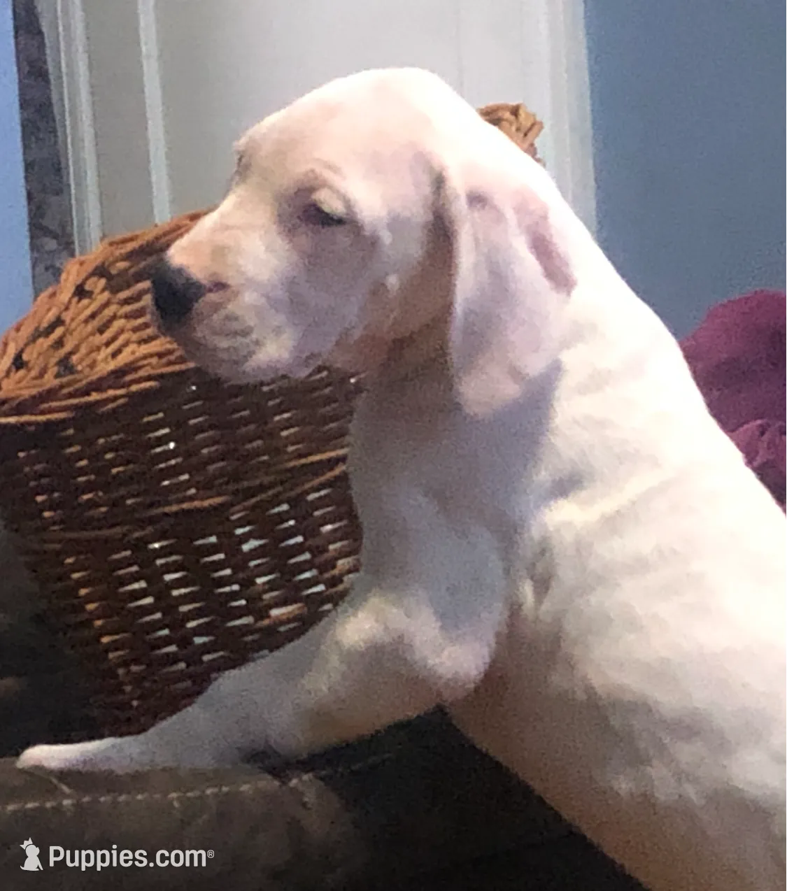 processed/8fc13f81-fd84-4fd1-9428-2a97e0094c8c/listing/18fb25f5-acd1-485d-a802-44bbae694675/eff031c0-5eed-4efe-b94c-f6ef47f1c47a