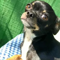 processed/8fc59a51-2a3f-4f1e-b56d-d4dc0ab3d832/facility/15c5db53-4e2c-4149-a20d-5daf4f89efe0