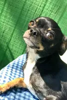 processed/8fc59a51-2a3f-4f1e-b56d-d4dc0ab3d832/facility/15c5db53-4e2c-4149-a20d-5daf4f89efe0