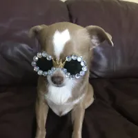 processed/8fc59a51-2a3f-4f1e-b56d-d4dc0ab3d832/facility/5d7a947a-4bf5-453e-83cf-88e3582e44f9