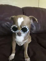 processed/8fc59a51-2a3f-4f1e-b56d-d4dc0ab3d832/facility/5d7a947a-4bf5-453e-83cf-88e3582e44f9