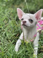 processed/8fc59a51-2a3f-4f1e-b56d-d4dc0ab3d832/facility/74c3195f-e101-4c77-9834-b419e17aa3d9