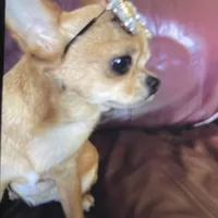 processed/8fc59a51-2a3f-4f1e-b56d-d4dc0ab3d832/facility/937c05ec-480d-45e7-ab64-9a6944890723