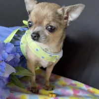 processed/8fc59a51-2a3f-4f1e-b56d-d4dc0ab3d832/facility/da37308b-c753-4924-b696-9f7da0ea6965