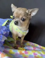 processed/8fc59a51-2a3f-4f1e-b56d-d4dc0ab3d832/facility/da37308b-c753-4924-b696-9f7da0ea6965