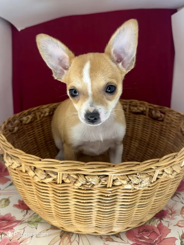 Amelia‘s girl💕💕💕